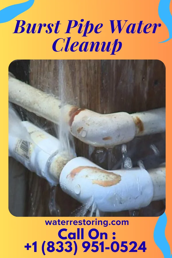 Burst Pipe Water Cleanup in North Plymouth, MA