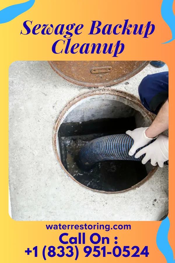 Sewage Backup Cleanup in North Plymouth, MA